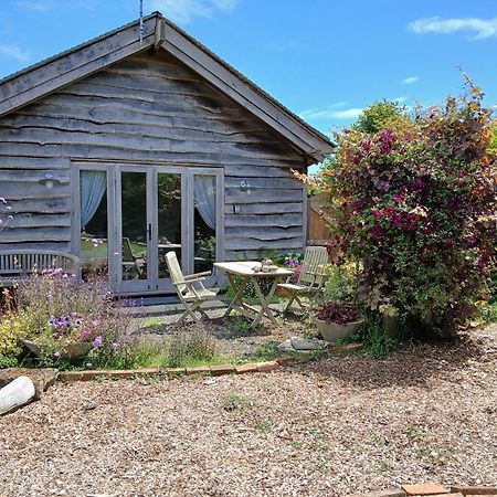 Three Oaks Nursery Chichester Esterno foto