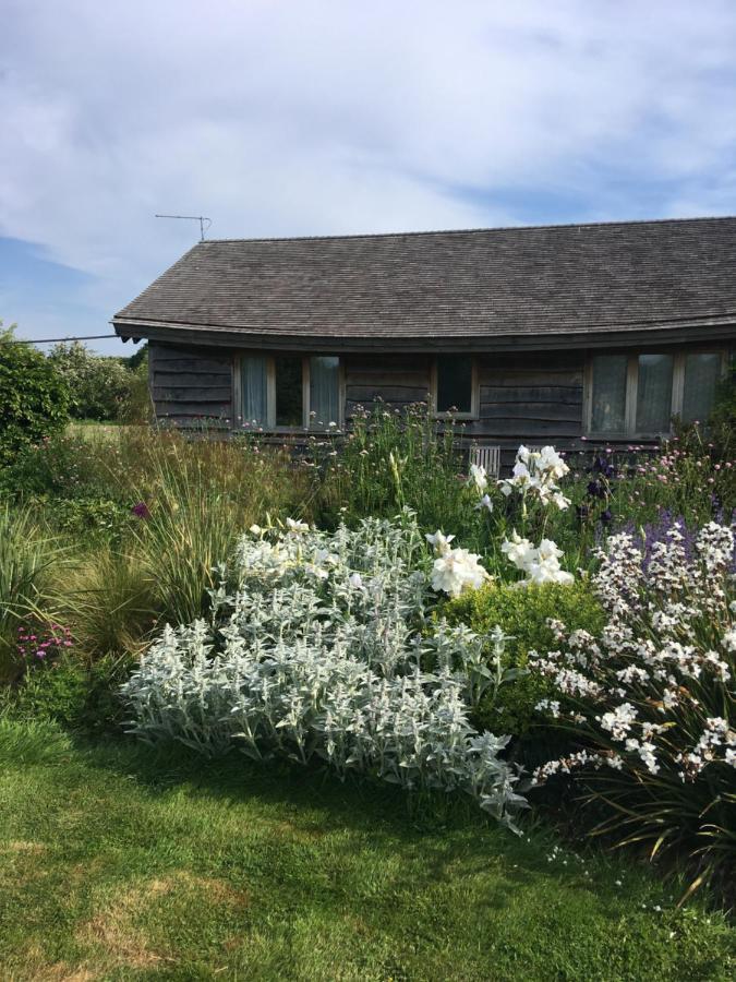 Three Oaks Nursery Chichester Esterno foto