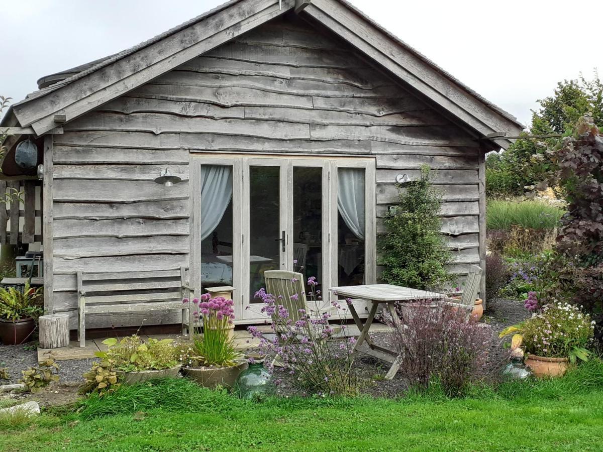 Three Oaks Nursery Chichester Esterno foto