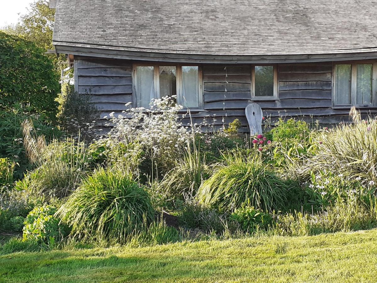 Three Oaks Nursery Chichester Esterno foto