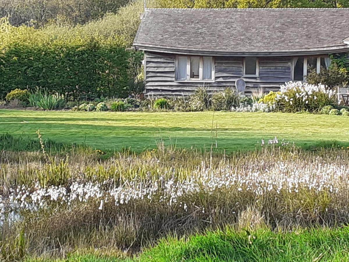 Three Oaks Nursery Chichester Esterno foto