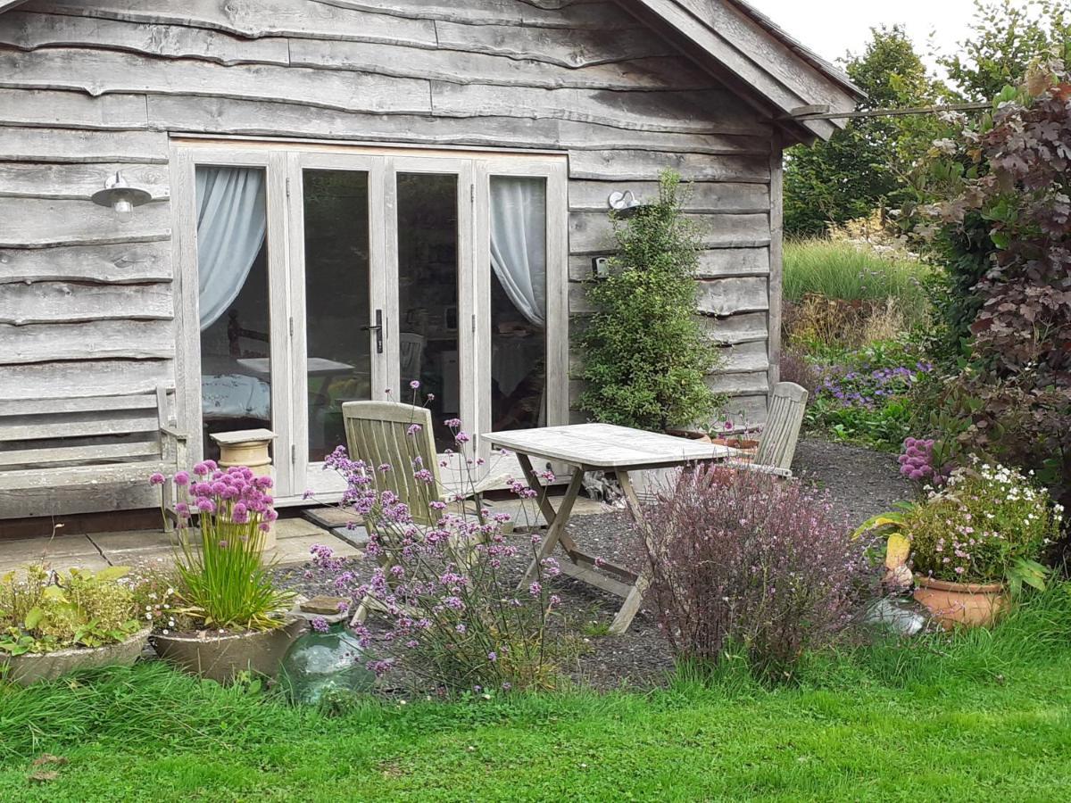 Three Oaks Nursery Chichester Esterno foto